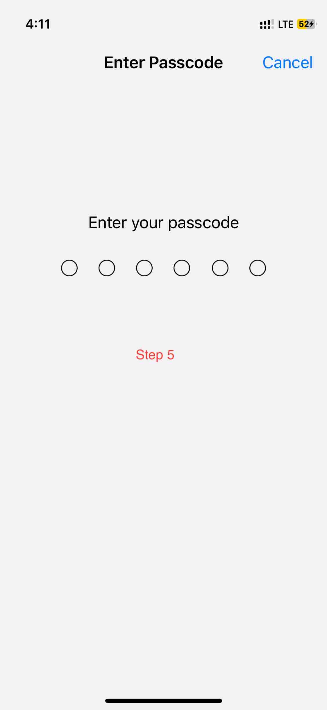 Step 5 - Enter your iPhone Passcode